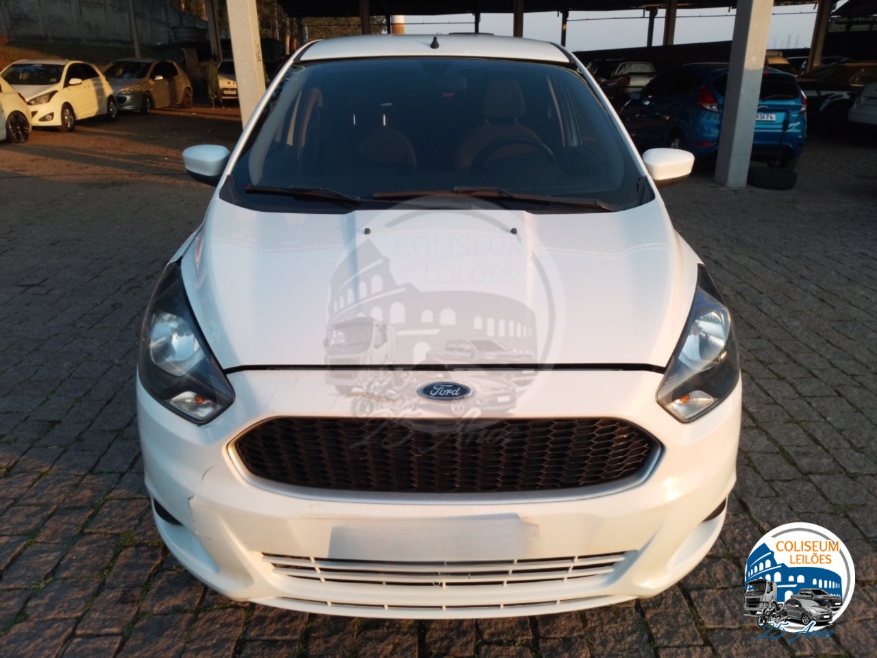 LOTE 023 - KA SE 1.0 HA FLEX 2015