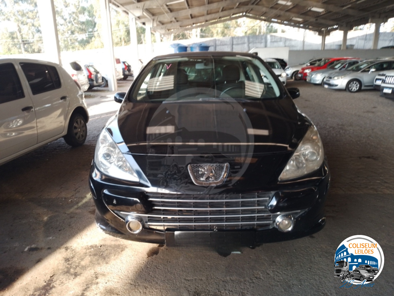 LOTE 019 - 307 1.6 FX PR FLEX 2008