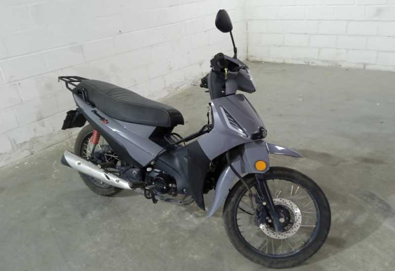 LOTE 013 - SHINERAY / 50Q Phoenix S 50 2024